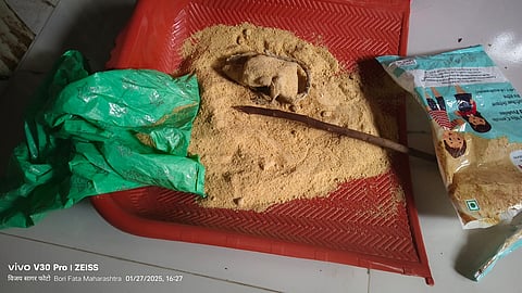 Raigad News | Dead rat found in nutrition Raigad News | A dead rat found in the feedlot