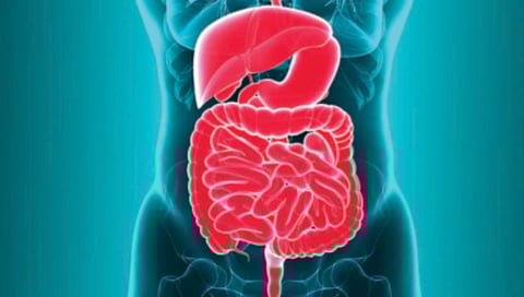 Gut health issues