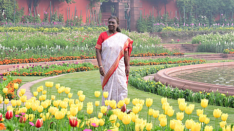 Rashtrapati Bhavan Gardan