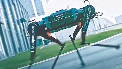 China creates 'Black Panther 2.0' robot