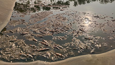 Chhatrapati Sambhaji Nagar News |