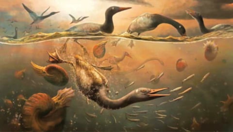 fossils of early bird ancestors discovered in antarctica