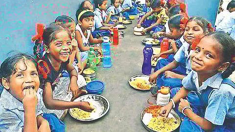 Nutrition meal |