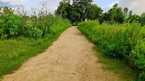 Panand Roads