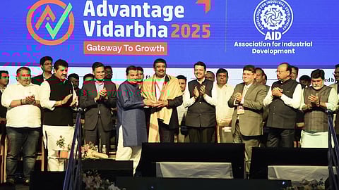 Gadchiroli industrial ecosystem