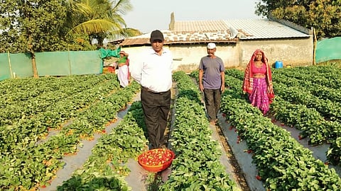 मांजरी, ता. साक्री, पिंपळनेर, जि.धुळे