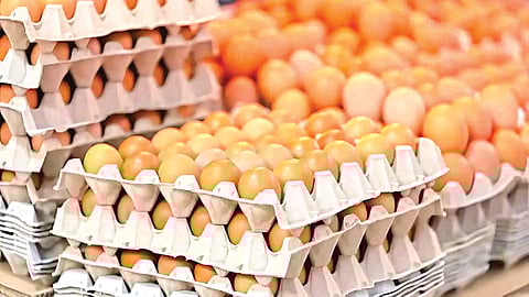 ‘महासत्ता’ अमेरिकेत अंडी झाली महाग!