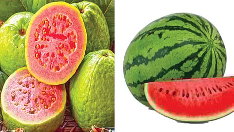 कोणत्या फळात सर्वाधिक, कोणत्यामध्ये कमी प्रोटिन?