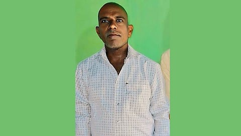 Aggressive hornet attack