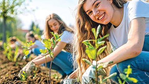 ‘त्या’ देशात फक्त दहा झाडे लावल्यास मिळते सरकारी नोकरी!