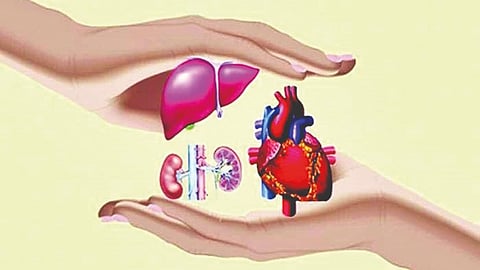 हवाई रूग्णवाहिकेद्वारे अवयवांची जलद ने-आण