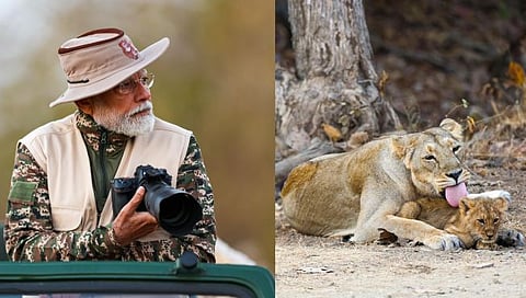 PM Narendra Modi takes lion safari in Gir forest in Gujarat