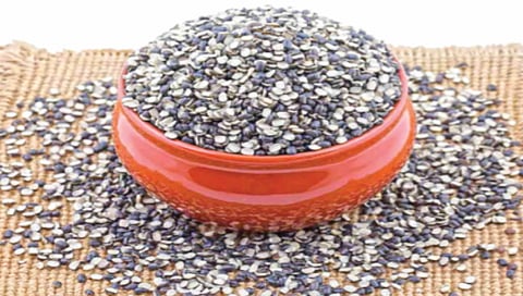 Urad dal contains a large amount of protein