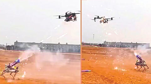 Robotic dog vs drone battle