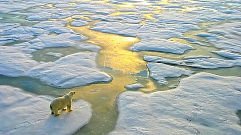 global-sea-ice-record-low-february-climate-change-impact