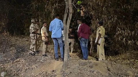 वसई-विरार (पालघर)