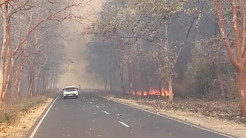 Chandrapur Jungel Fire