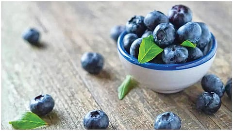 blueberry benefits