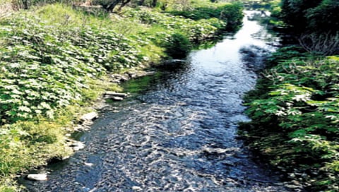 pollution-increasing-environmental-concern