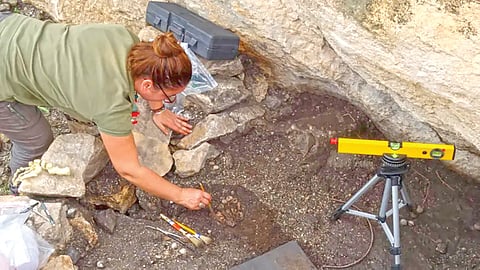 ancient European hunters