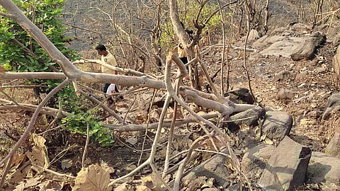 खालापूर, रायगड