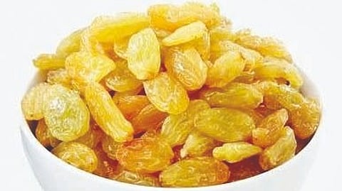 तासगावात बेदाण्यास विक्रमी 651 रुपये दर