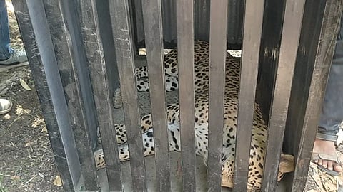 दिंडोरी (शिंदवड)