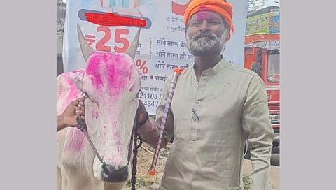 Solapur Accident News