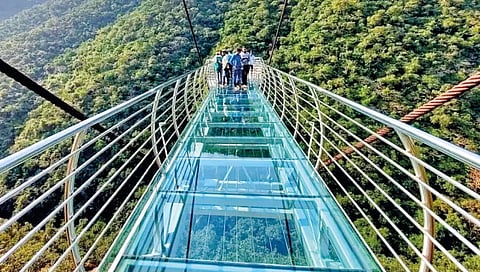 first-glass-skywalk-to-be-constructed-at-malshej-ghat