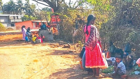 खाडीपट्टा (रायगड