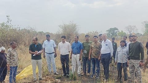 Chandrapur tiger death