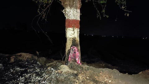 Illegal burning of government trees on Herwad-Abdullat road