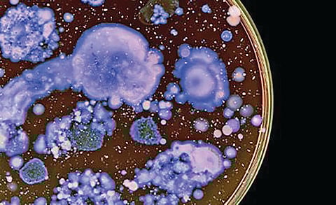 machine learning discovery