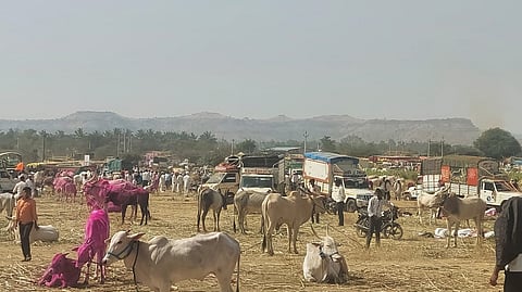 Kharsundi Chaitra Yatra