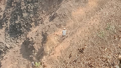 buffaloes fall in valley Vishalgad