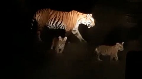 चांदवड, नाशिक