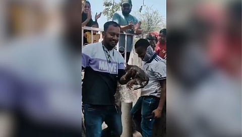 Palghar Kitten Rescue