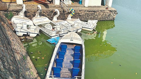 Moti Lake Boating Club