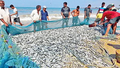 fisheries-granted-agriculture-equivalent-status-decision