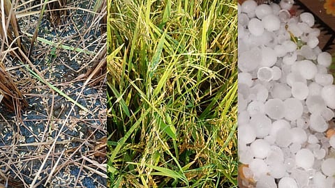 Chandrapur Heavy Rain