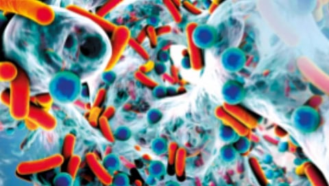 medicines-weak-diseases-gaining-strength