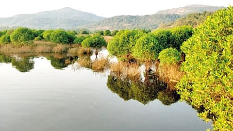 रायगड, ठाणे