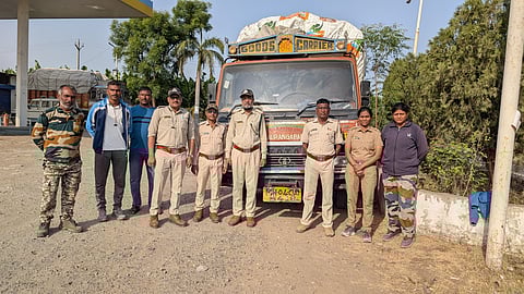 Illegal timber seized