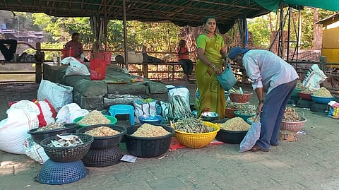 LED Fishing Dry Fish Price Hike