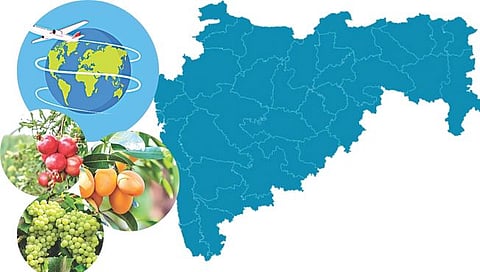 लासलगाव, नाशिक