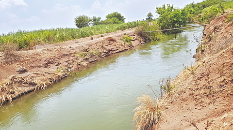 Takari project water supply