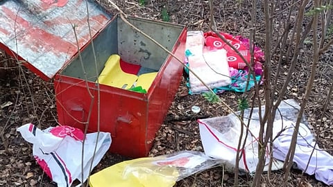 Thieves break into farmer's house in Bagpipalgaon