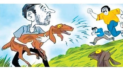 Deonar goat theft