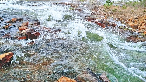 Krishna river water in Ranand lake