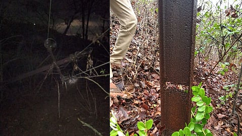 फणसकोंड (बागवाडी) येथे विद्युत वाहक तारेवर झाड पडून वीजपुरवठा खंडित !